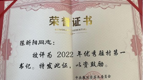 驻村帮扶倾真情 实干铺就振兴路——达旗海子湾村第一书记陈昕阳