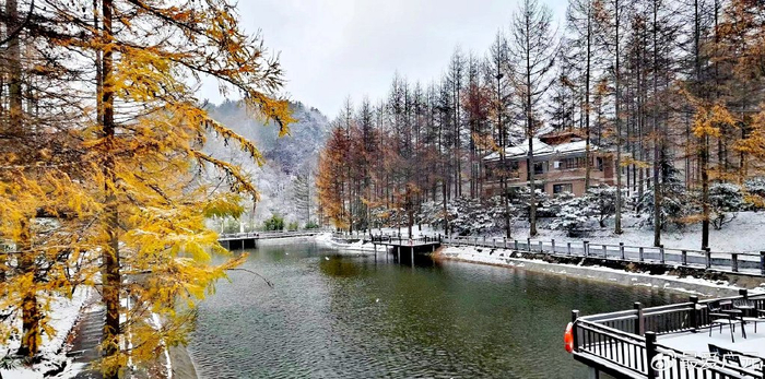 一雪成冬雪落成诗曾家山现半山红叶半山雪绝美景象非常震撼