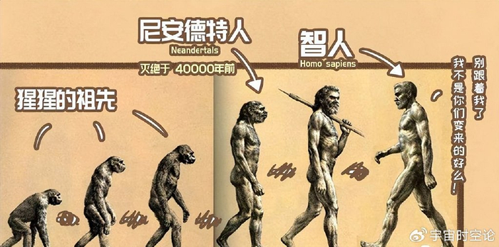 深度长文:人类是猿进化来的,为什么再也没有别的猿进化成人类?