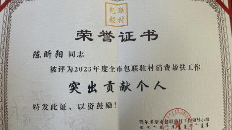 驻村帮扶倾真情 实干铺就振兴路——达旗海子湾村第一书记陈昕阳