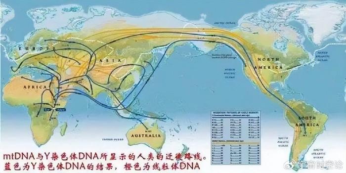 基於此,科學家們甚至繪製出了人類走出非洲走向世界各大洲的路徑圖.