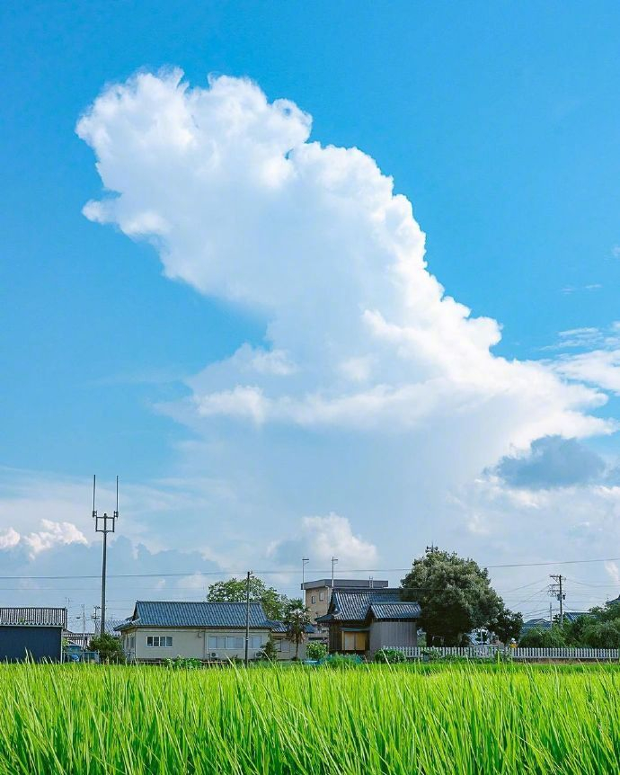 宫崎骏的动漫天空
