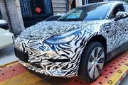 最便宜的特斯拉曝光，造型类似两厢model 3，这车咋样？