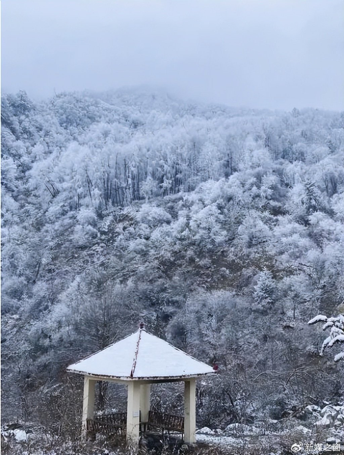 兴文县,蜀南竹海景区等多地下雪,甚至连宜宾城郊的七星山也瑞雪纷飞