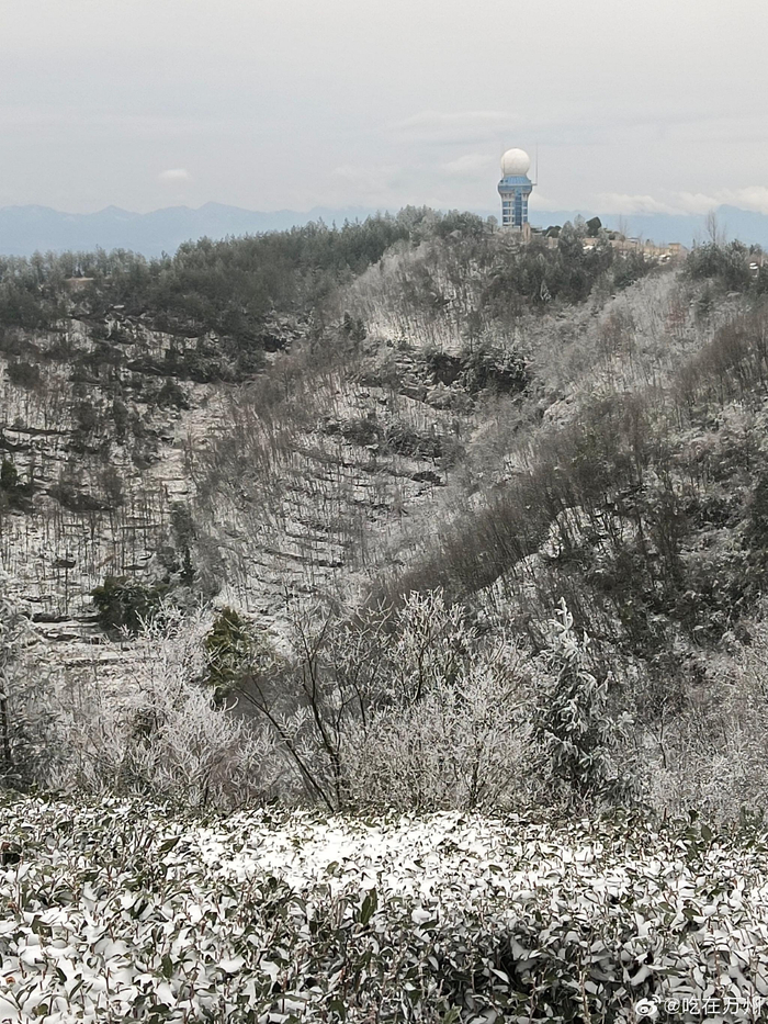 万州区太安镇区迎来龙年首场降雪