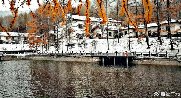 一雪成冬雪落成诗曾家山现半山红叶半山雪绝美景象非常震撼