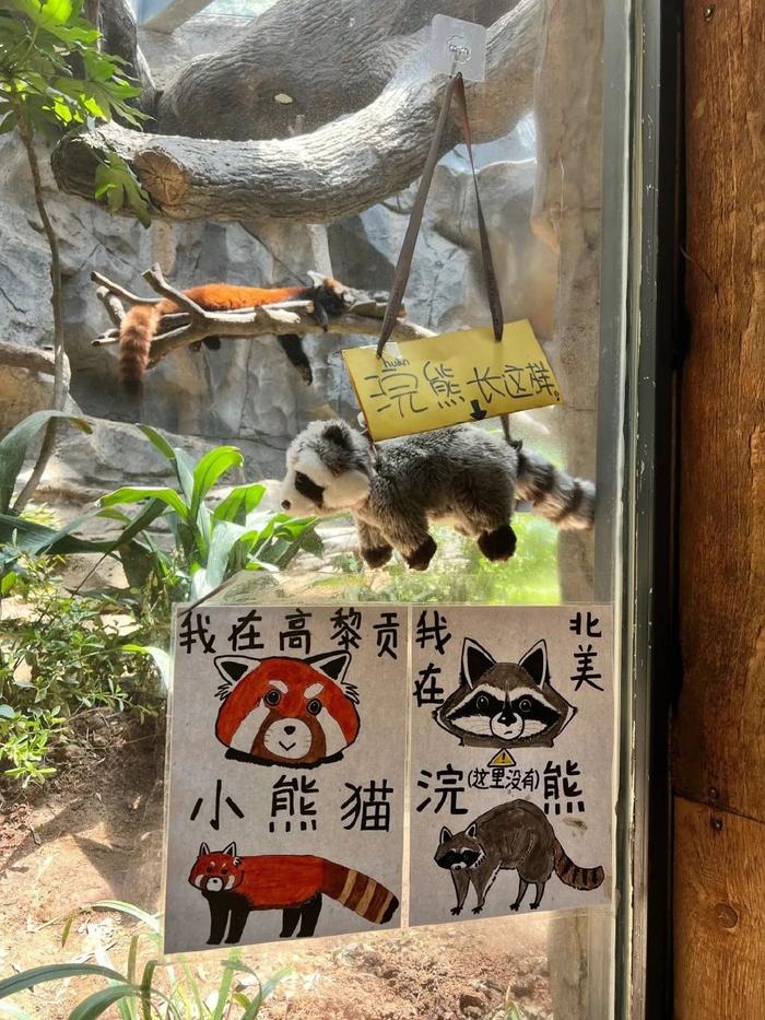 廣州動物園救助被馬戲團虐待的動物,尊重生命,這才是