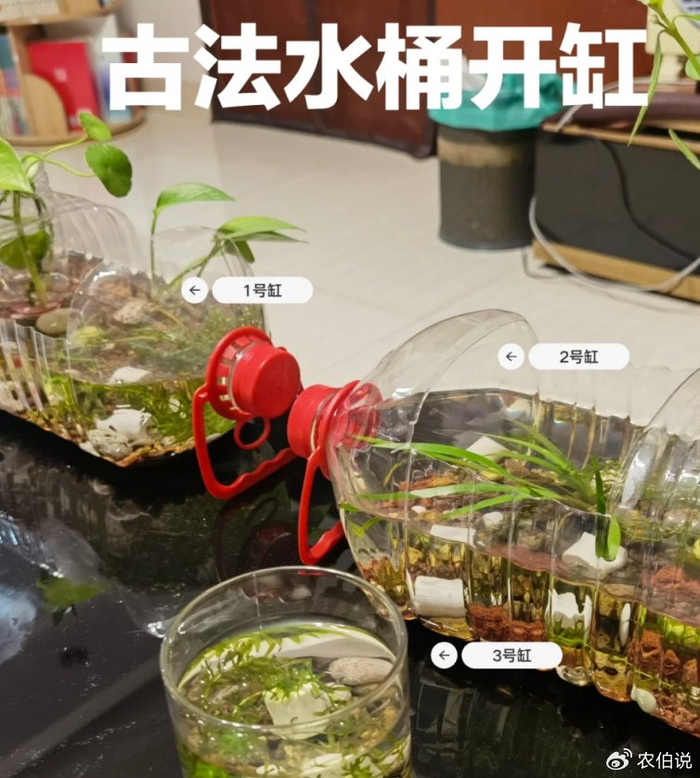 菏泽一中学生,拿废弃的矿泉水桶,自制生态鱼缸,老师:活学活用