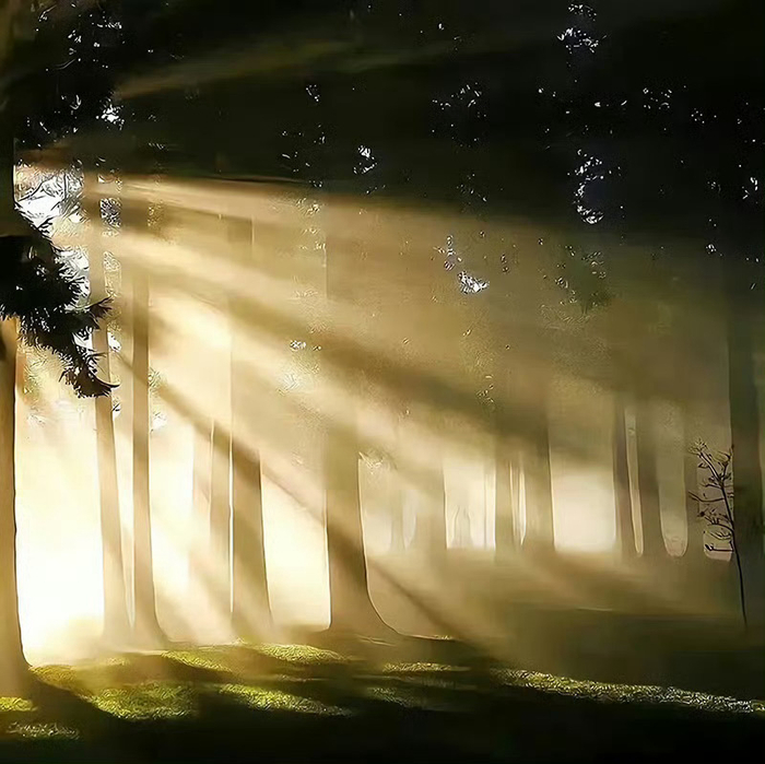 喜欢的氛围感背景图