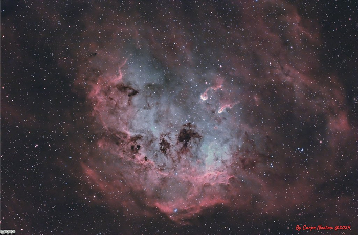 每日天文一图 | ngc 1893和ic 410小蝌蚪星云|天文|光年|恒星_新浪