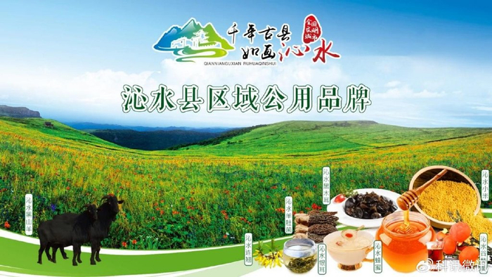 都有机会通过led一睹富有地域特色的"沁水名片",最大化释放宣传潜力