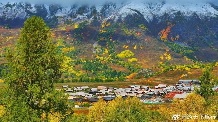 自驾景观大道阿禾公路,一网打尽北疆秋景,阿勒泰色彩最绚丽季节|阿勒泰地区|新疆维吾尔自治区|喀纳斯|新疆|秋色_新浪新闻