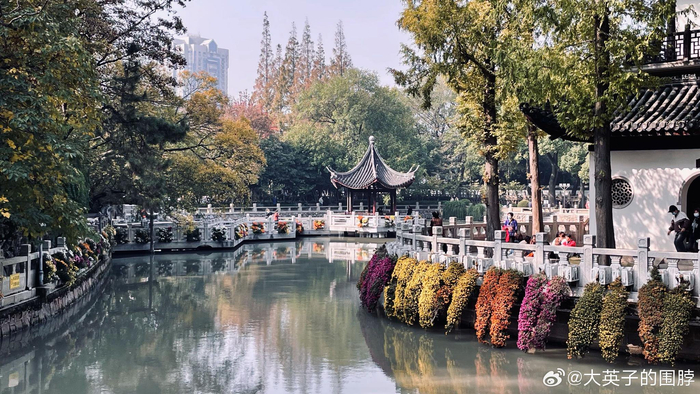 上海嘉定的秋霞圃公园,典型的园林建筑风格