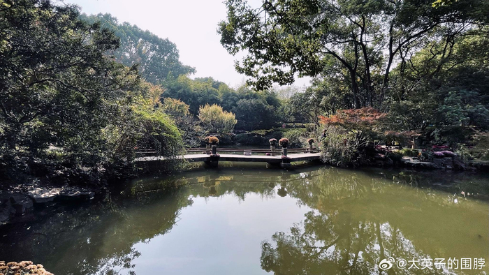 上海嘉定的秋霞圃公园,典型的园林建筑风格
