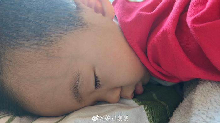 刚才明明叫醒了， 又睡了…… 白天这么能睡