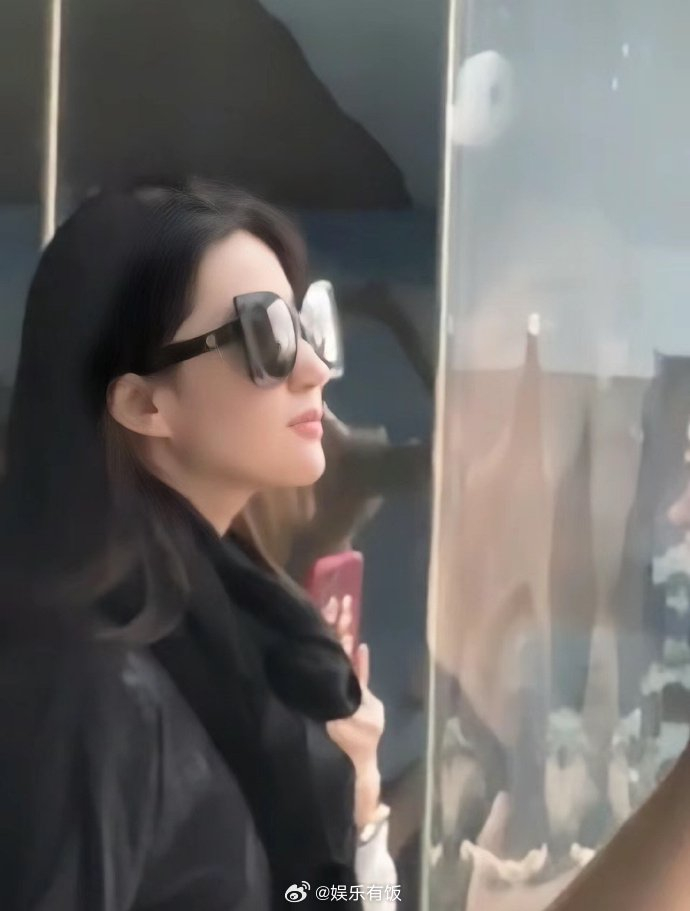网友香港海洋公园偶遇刘亦菲游玩,这侧脸颜值绝了!__财经头条