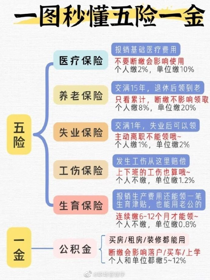 终于有人把五险一金说清楚了!__财经头条