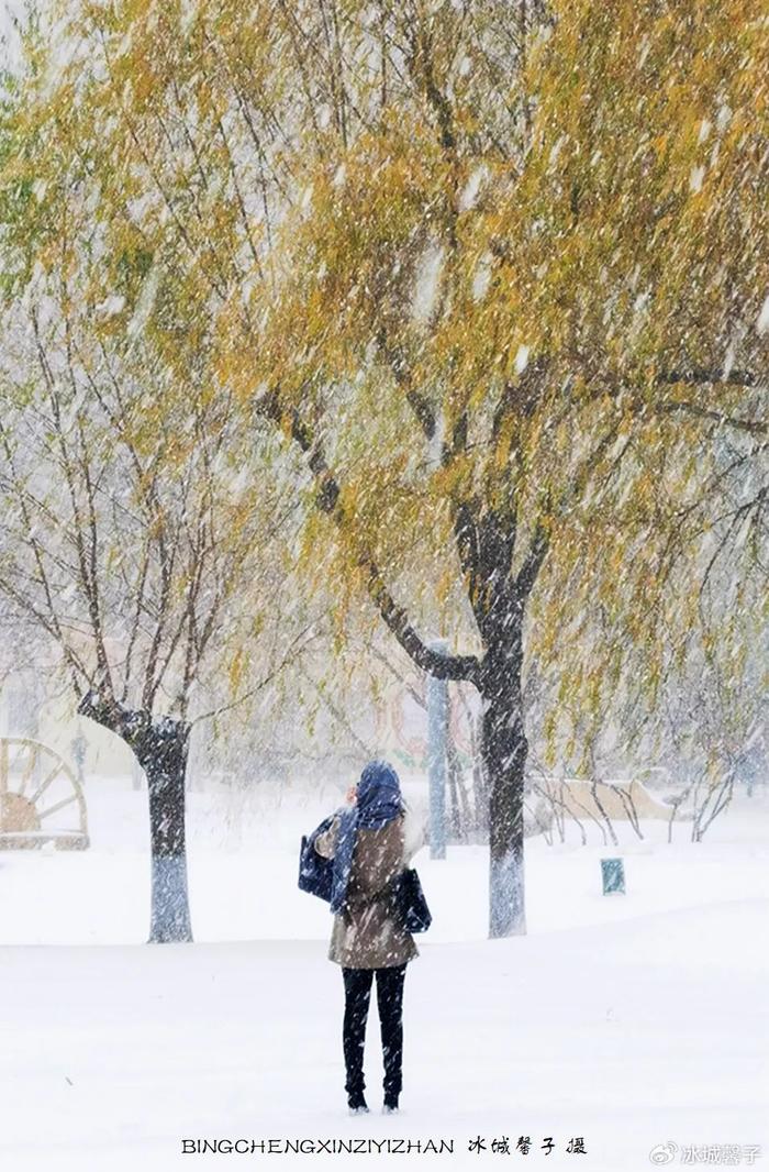 初雪降冰城雪中水彩画