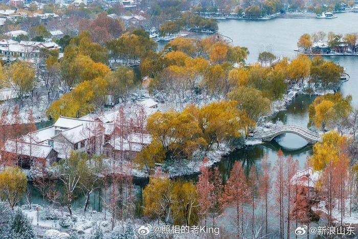 一下雪,济南就梦回济南府,一起分享下你拍的济南雪景吧