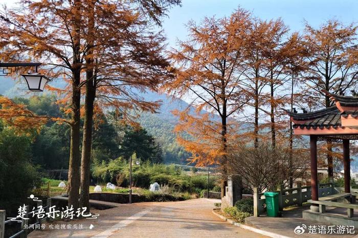 浙江寧波大盤山下的古村,緊鄰網紅古寺卻少有人來,但景色非常美|大盤