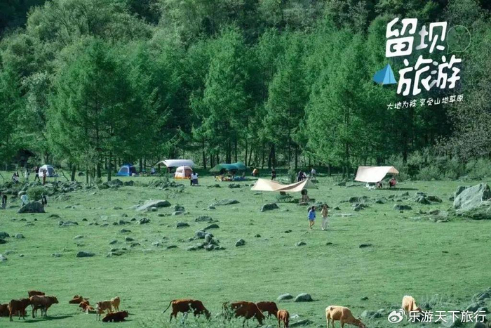西安出发4个多小时到达的秦岭高山草甸,留坝狮子沟牧场远离喧嚣