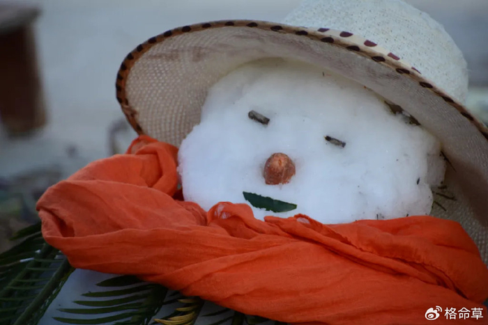 每日好诗|春雪安抚着脚印,车辙和一个老去的雪人