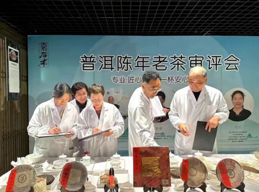 为健康喝茶 喝健康茶 2024年普洱陈年老茶专家审评会举办|普洱茶|茶馆