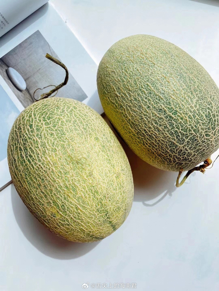 海南晓蜜哈密瓜实拍90 没有新疆的哈密瓜个头那么大……__财经头条