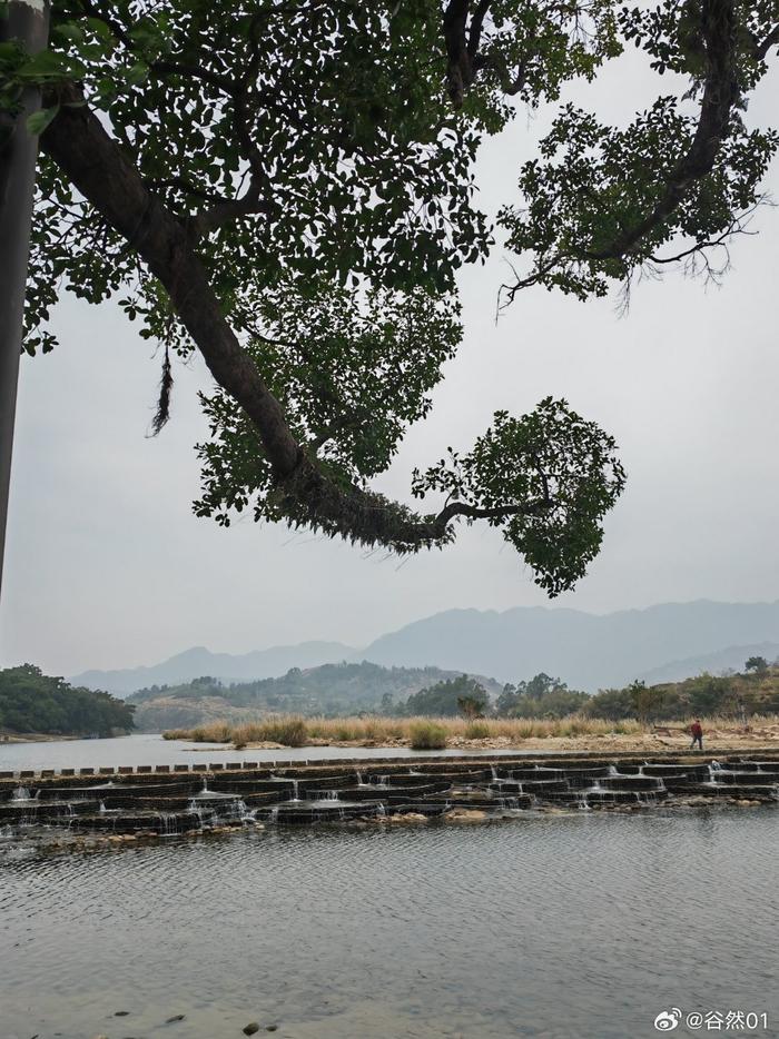 福州的後花園永泰因大樟溪古渡頭駁岸古榕樹風光宜人