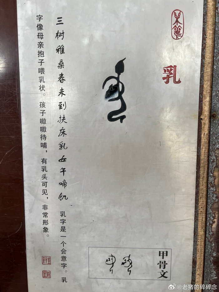 殷墟博物苑里的甲骨文科普墙象形文字的会意也太强了尤其图二