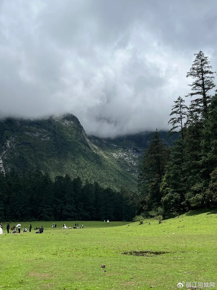 玉龙雪山玩法多,别只盯着大索道,蓝月谷云杉坪也很美