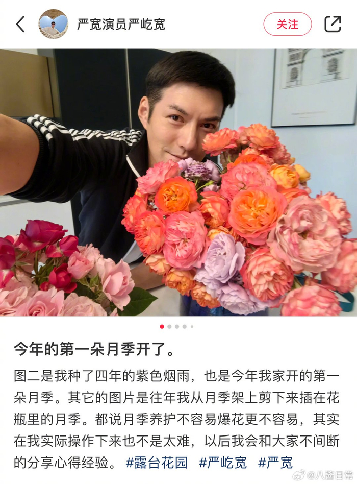 严屹宽真的很爱花