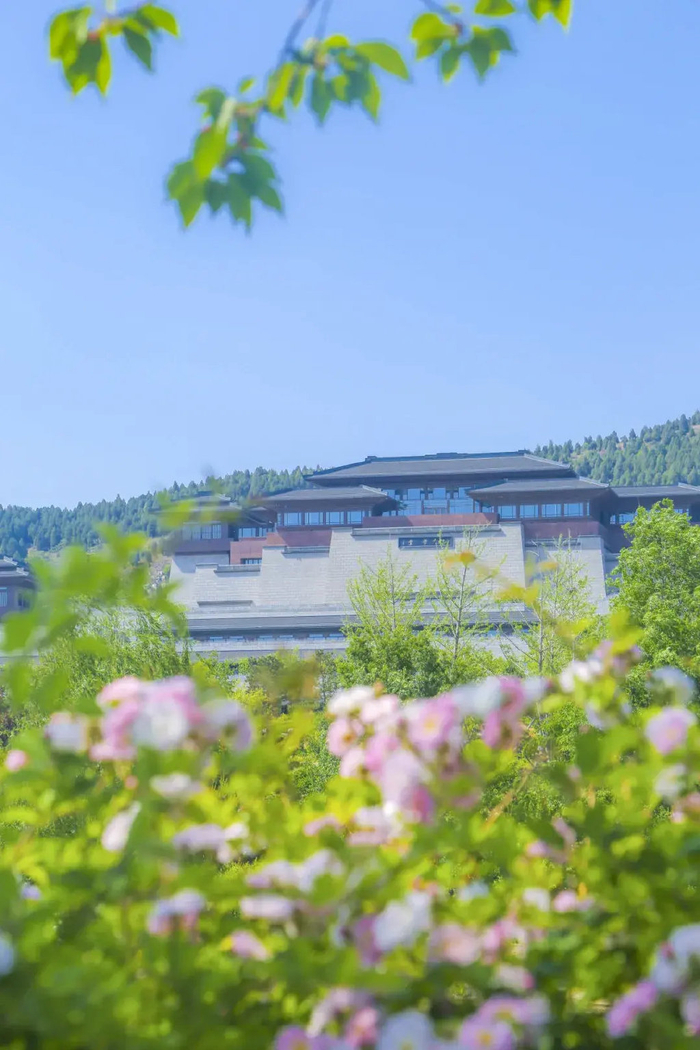 趣游济宁 | 来这些"多巴胺"景区解锁一夏好心情