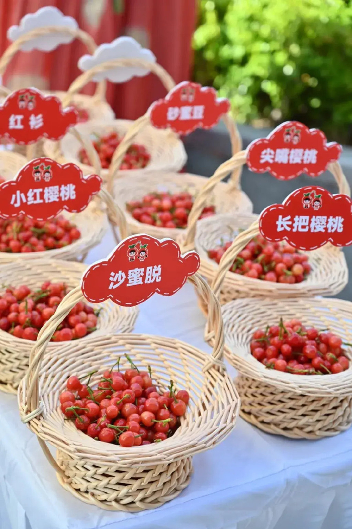 红了!「大樱桃」甜蜜上市,来山东敞开了吃