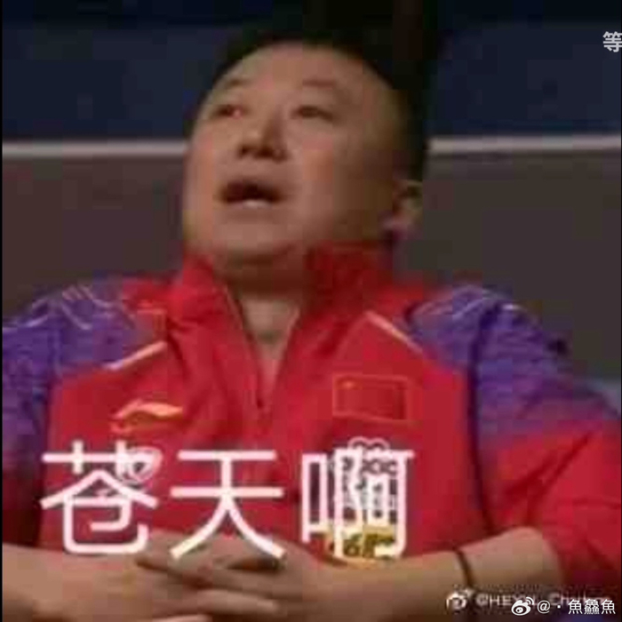 别人都笑你,可你的表情包偏偏真的最好笑|表情包