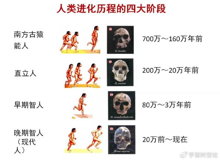 而进化论是关于人类起源的主流科学理论