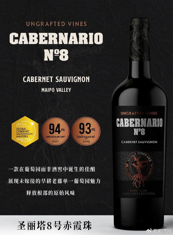 诞生在未嫁接老藤单一园 原始风味佳品-圣丽塔8号老