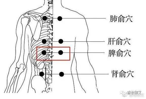 艾灸便秘的位置图图片