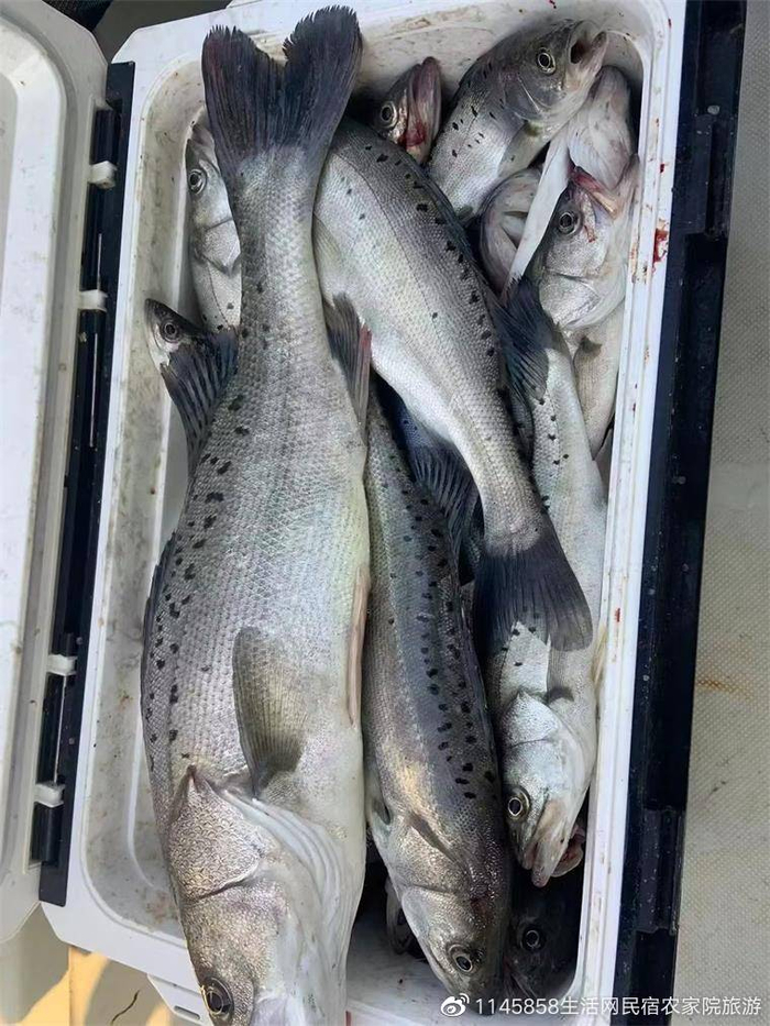 海洋生活网
