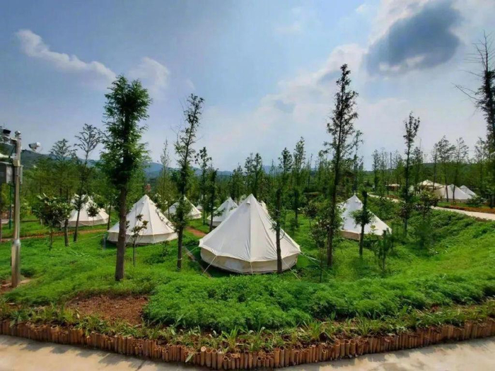 淄博网红露营地被禁!还有这10处绝美营地可以去|马踏湖|桃花岛|营地_
