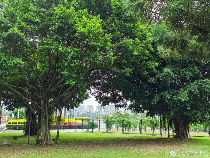 闽江公园北园
