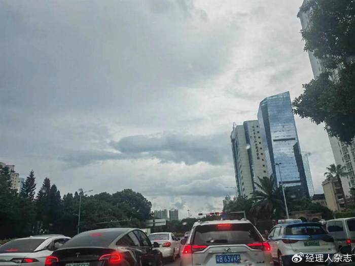 十宗罪小说全集在哪下载 十宗罪作品内容有哪些