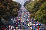 [流言板]约基奇本赛季对阵奇才场均得到48分14.5篮板8.5助攻1抢断