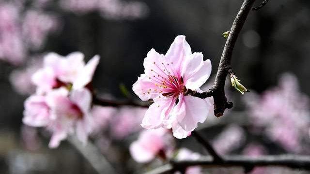 钢铁悍马：人生的光环不是学历而是阅历