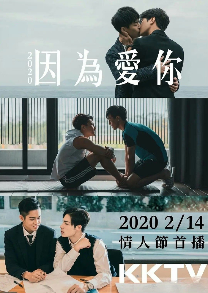 国产台剧《2020因为爱你 》全集!__财经头条__新浪财经