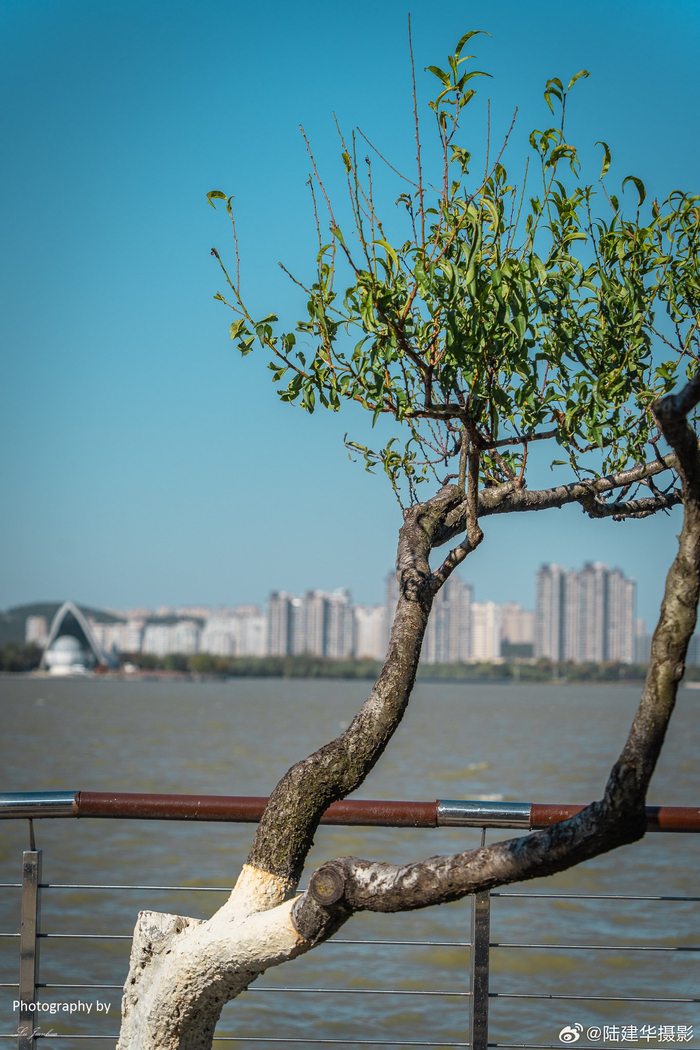 徐州云龙湖,位于徐州泉山区,为徐州标志性旅游景点之一