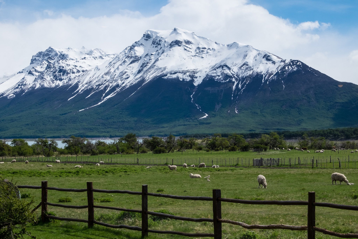 之阿根廷篇潘帕斯草原世界上最南端的灯塔佩里托莫雷诺冰川