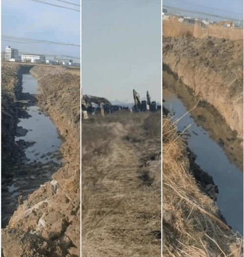 安达市万宝山镇:无偿收回村民承包的草原遭质疑|草原|安达市|张拥军