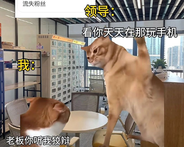 00后官号运营,正在用猫meme勇闯职场|表情包集锦|天猫|科技大公司|顺丰速运|小红书_新浪新闻