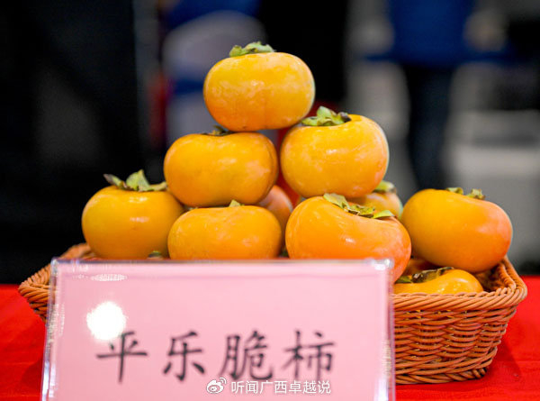 广西桂字号水果产销对接暨农业品牌全媒体宣展活动桂林启动